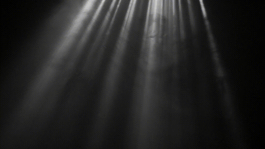 Demo GIF